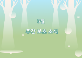 661604ea4bff9ae399bfe3c1303909fa_1778745961_1064.png
